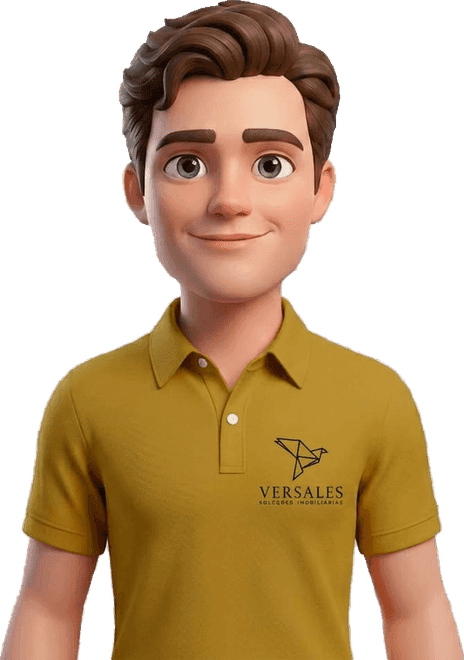 Consultor de financiamento da Versales